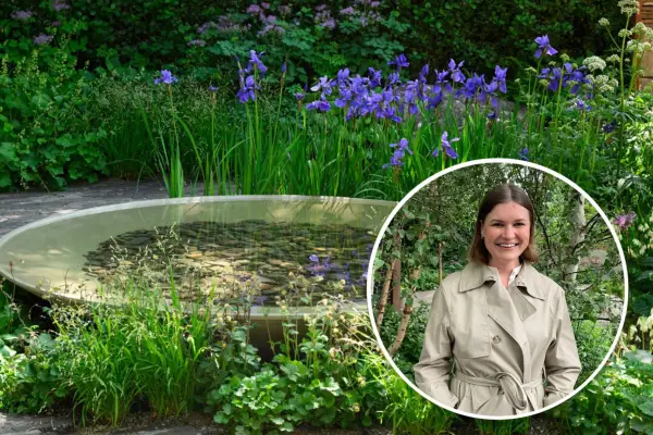 Kto vyhral najlepšie v show na Rhs Chelsea Flower Show 2024? Objavte všetky návrhy víťazných zlatých medailí