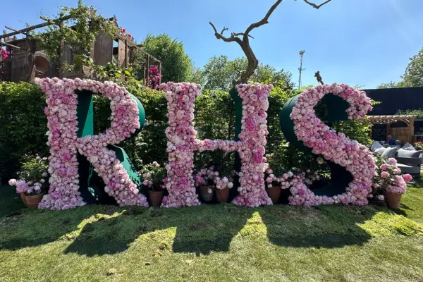 Najlepszy z RHS Chelsea 2024