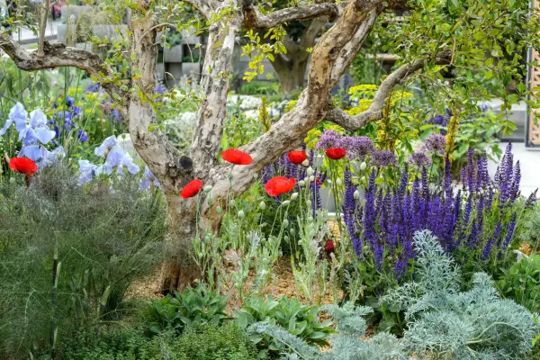 Punti salienti del Virtual RHS Chelsea Flower Show 2020