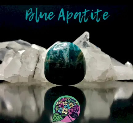 Significato dell'appetito blu + proprietà curative