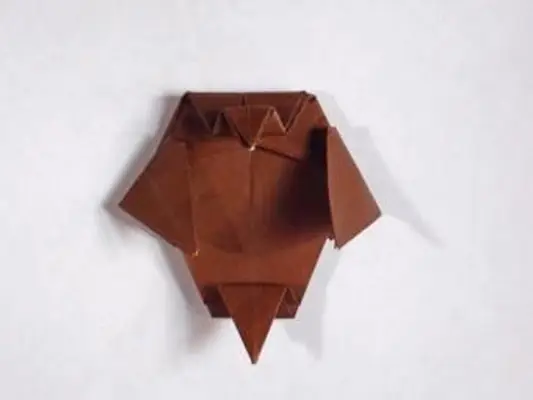 passo 6 da coruja de origami