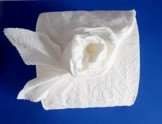 Crea una rosa con origami di carta igienica Toilet
