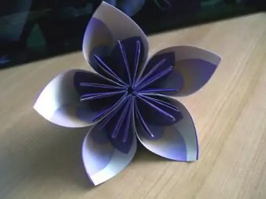 Instrucciones visuales para flores de papel de origami