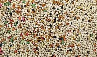 Mix di semi di parrocchetto di base; © Cpaulfell | Dreamstime.com