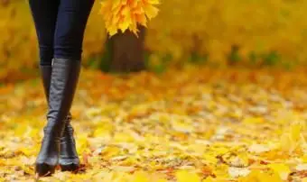 Storia degli stivali