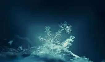 Nahaufnahme einer Schneeflocke