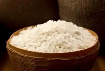 Come usare un cuociriso