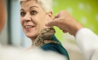 Dragão barbudo no ombro de uma mulher