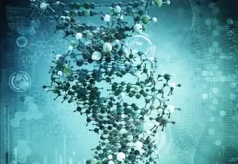 DNAの構造と機能