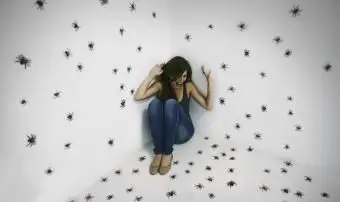 あなたがクモについて夢を見ているとき、それはどういう意味ですか？