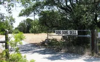 דינג דונג, טקסס