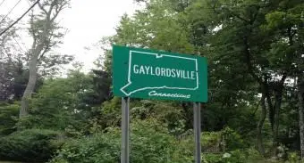 רחל קליפורד