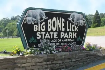 פארק מדינת Big Bone Lick, KY