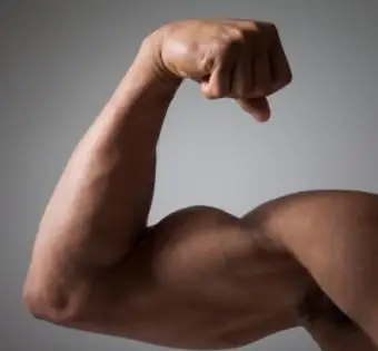 屈曲した筋肉の腕