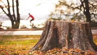 木の切り株を取り除く方法