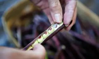 Comment faire cuire des pois violets frais