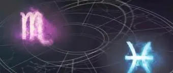 누가 Scorpio와 가장 잘 호환됩니까?