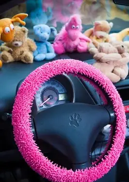 Idee per accessori per auto da ragazza