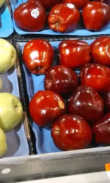 מהי תנועת המזון האיטי?