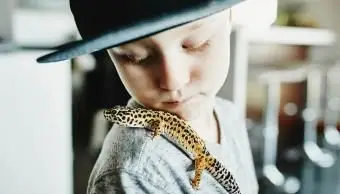 niño mirando mascota leopardo gecko