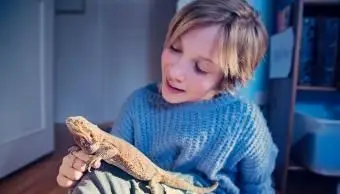 Nombres de lagarto mascota femenina pegadiza