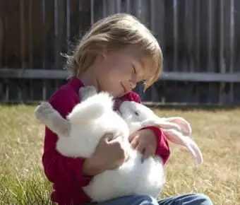 ペットのバニーと幼児