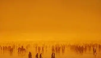 Silhueta lotada do pôr do sol