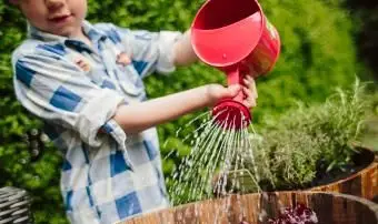 https://cf.ltkcdn.net/family/images/slide/272082-850x566-watering-can.webp