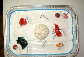 proyecto de pastel de células animales