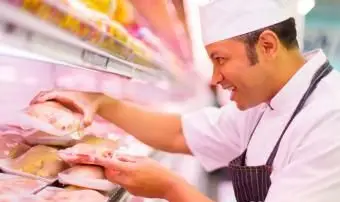 קצב בודק עוף