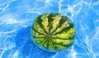 수영장에서 수박