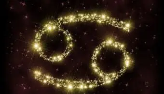 암의 한가운데 : 의미, 직업 및 운명