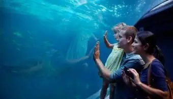 水族館で一日を楽しんでいる家族