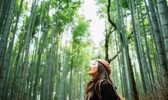 자연을 즐기는 젊은 여성 배낭