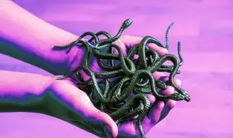 Sonhos com cobras: significados positivos e negativos