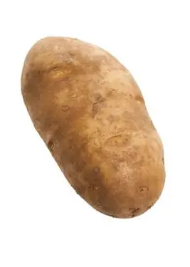 見栄えの良いラセットポテト