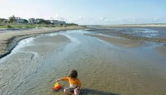 Ostrov svätého Simonsa, Gruzínsko