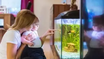 아파트와 작은 공간을위한 최고의 애완 동물