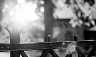 あなたの写真の中のそれらの奇妙なオーブの背後にある意味