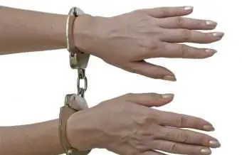 Einkommensteuerbetrug melden