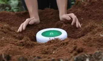 Urnes organiques d'intérieur