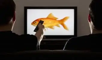 Traits de l'homme Poissons