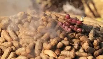 Ricetta per le arachidi bollite