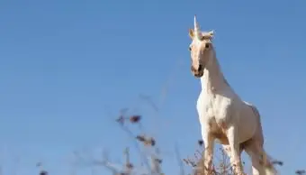 Jednorożec na szczycie wzgórza