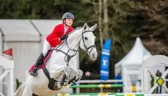 Jeździec konny przeskakujący przez przeszkodę