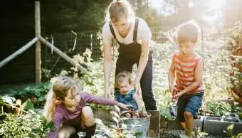 famille creuser des pommes de terre fraîches
