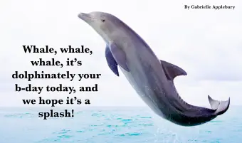 דולפין מזנק באוקיאנוס הפתוח.