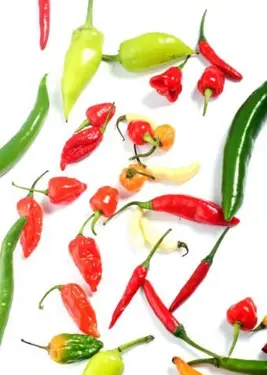 最もホットな唐辛子のリスト