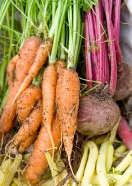 Jak gotować warzywa na parze?