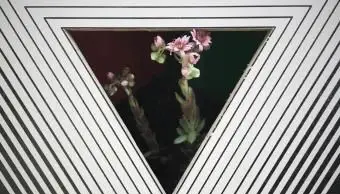 Il Grande Trigono nei Temi Nazionali